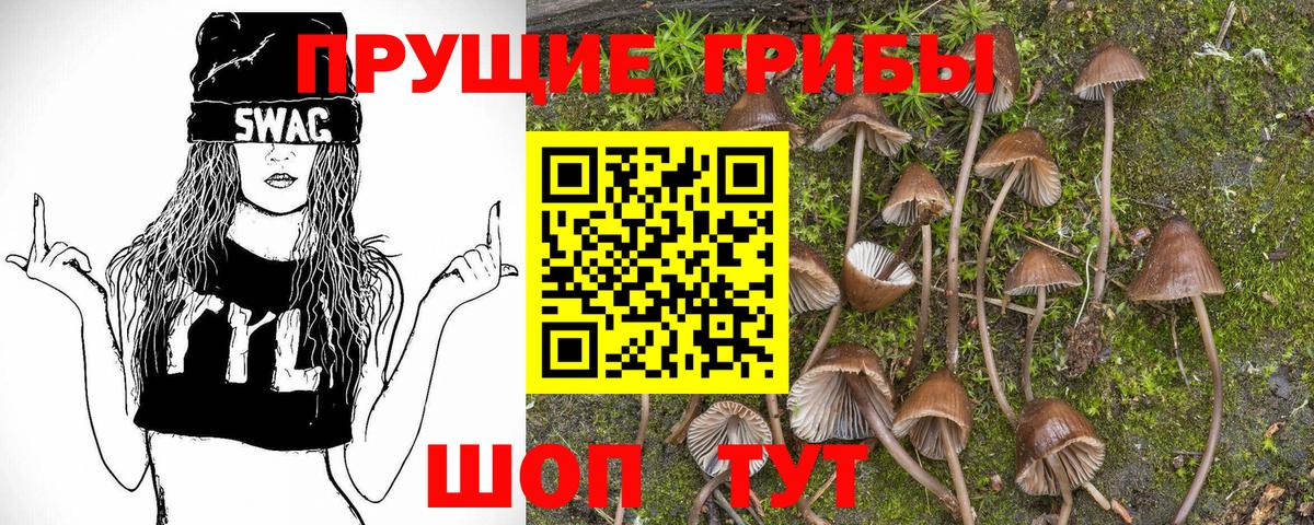 Усть-Лабинск  Галлюциногенные грибы Psilocybine cubensis  Вход с VPN 